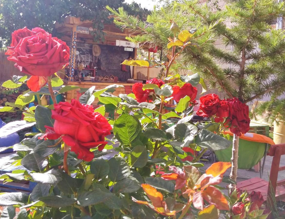 Escape Cappadocia Hotel Γκόρεμε Εξωτερικό φωτογραφία